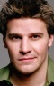 David Boreanaz