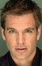 Michael Weatherly