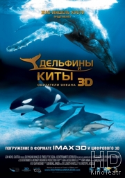 Дельфины и киты 3D