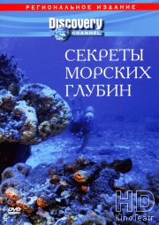 Discovery: Секреты морских глубин