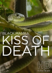 Черная мамба: поцелуй смерти