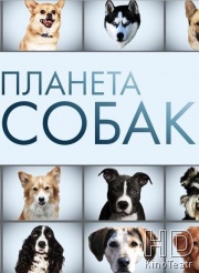 Планета собак
