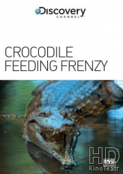 Как прокормить крокодила