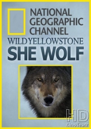 Дикий Йеллоустоун: Волчица