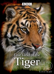 В поисках последнего тигра