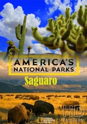 Национальные парки Америки. Сагуаро