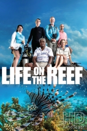 Жизнь на Большом Барьерном рифе