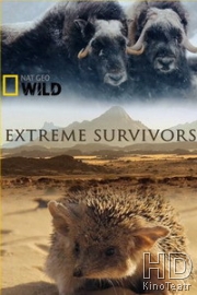 National Geographic. Выжить несмотря ни на что