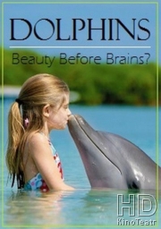 Дельфины: Тест на интеллект