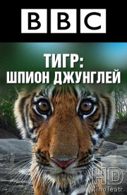 BBC: Тигр – Шпион джунглей