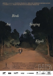 Птицы поют в Кигали