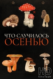 Что случилось осенью