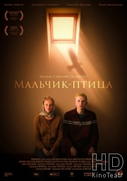 Мальчик-птица