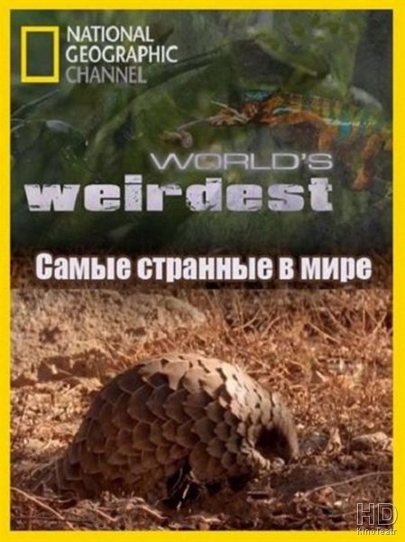 World's weirdest. Странный Гео. Диск про животных документальный National Geographic.