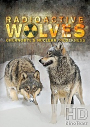 Радиоактивные волки Чернобыля