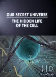 BBC: Внутренняя Вселенная: Тайная жизнь клетки