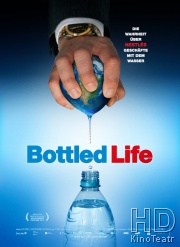 Жизнь в бутылке