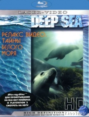 Тайны Белого моря