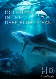 Дельфины в океанской синеве