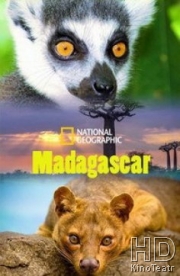 Мадагаскар: Легенда острова лемуров