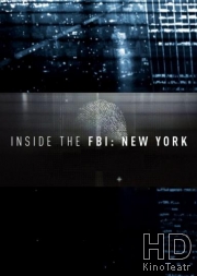 Работа ФБР в Нью-Йорке: Взгляд изнутри