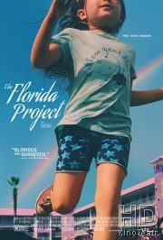 Проект «Флорида»