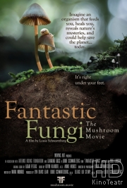 Фантастические грибы